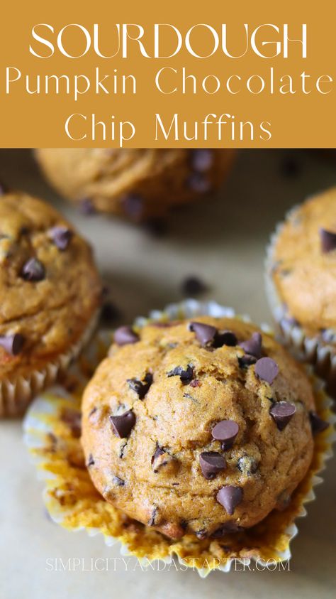 Sourdough Starter Recipes Easy, Sourdough Pumpkin Muffins, Sourdough Pumpkin, Chocolate Chip Muffins Recipe, Sourdough Muffins, Recipe Using Sourdough Starter, Discard Recipe, Sourdough Starter Discard Recipe, Discard Recipes