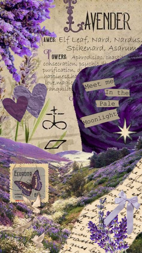 #purplecollage #purpleaesthetic #purplewallpaper #lavenderasthetic #lavender #aestheticshuffle #aesthetic Lavender Aesthetic Vintage, Lavender Mood Board, Lavender Collage, What's My Aesthetic, In The Pale Moonlight, Lavender Aesthetic, Wicked Game, Cute Pastel Wallpaper, Haldi Ceremony