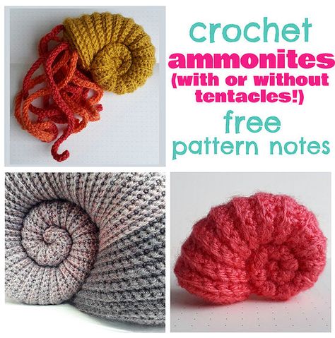 Crocheted Coral Reef, Crochet Ammonite Pattern, Crochet Coral Reef Pattern, Free Crochet Shell Pattern, Crochet Shells Free Pattern, Ammonite Crochet Pattern Free, Coral Crochet Pattern Free, Sea Shell Crochet Pattern Free, Crochet Sea Urchin