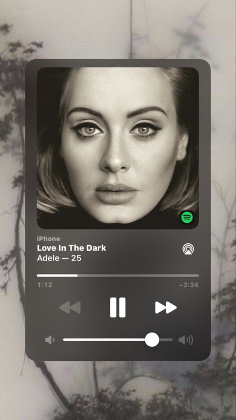 instagram story song aesthetic spotify adele love in the dark by adele Love In The Dark Adele Spotify, Love In The Dark Adele, Adele Poster, Adele Albums, Love In The Dark, Adele 25, Adele Music, Adele Love, Adele Adkins