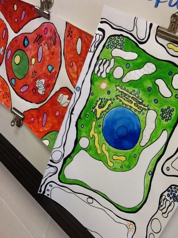 Art at Becker Middle School: Watercolor cell collaborative project Middle School Watercolor, Art Projects Middle School, Plant Cell Project, School Watercolor, Cell Art, Science Art Projects, Cells Project, High School Art Lessons, Collaborative Art Projects