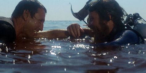 matt hooper and martin brody from jaws 1975 Matt Hooper, Martin Brody, Jaws Party, Jaws Film, Nostalgia Books, Movies 2000s, Jaws 1975, Shark Room, Jaws 2