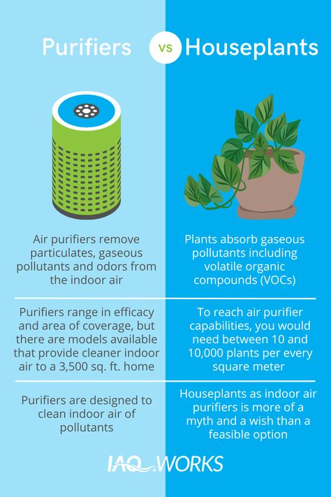 Air Purifier Benefits, Burning Bay Leaves, Homemade Detergent, Natural Air Purifier, Herbal Coffee, Smoothie Bowl Healthy, Toxic Cleaning Products, Diy Snacks, Homemade Laundry Detergent