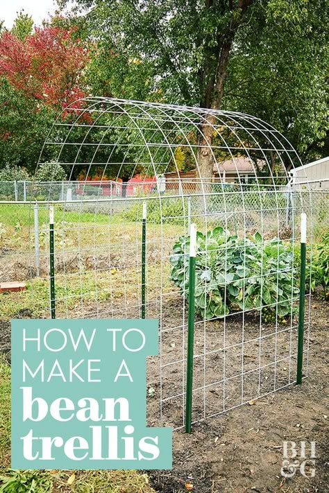 Bean Trellis, Diy Garden Trellis, Garden Veggies, Veg Garden, Home Vegetable Garden, Garden Yard Ideas, Vegetable Garden Design, Garden Landscape Design, Flowers Wallpaper