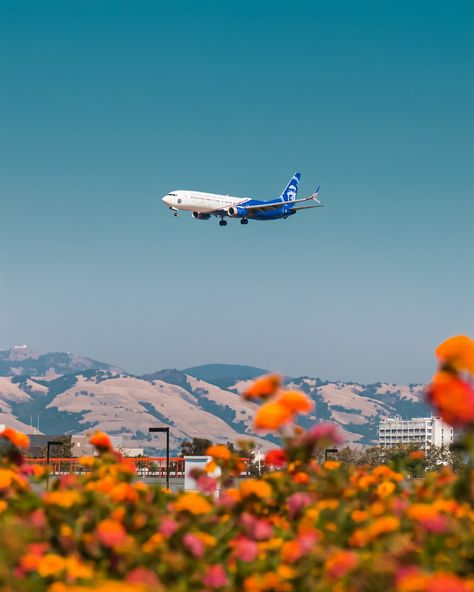 white and blue airplane flying over the orange flower field during daytime photo – Free Airplane Image on Unsplash Airline Booking, Best Holiday Destinations, Best Airlines, Alaska Airlines, Airline Flights, Delta Airlines, Route Map, United Airlines, Airline Tickets