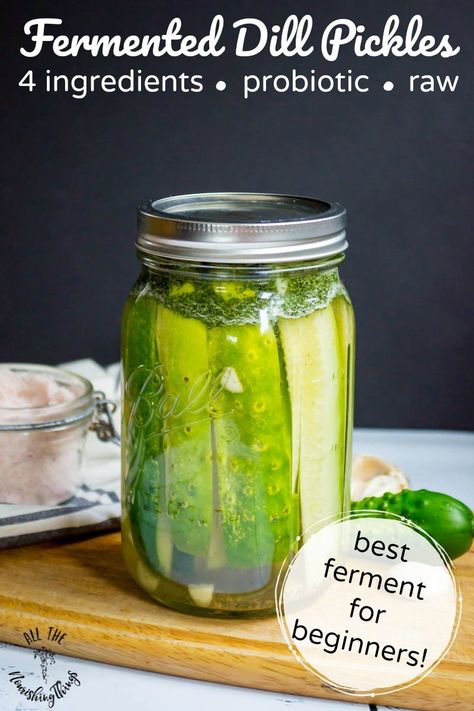 No Starter Culture Fermented Dill Pickles -- the BEST and easiest ferment for beginners! No cooking, no vinegar, no canning AND you come out with crunchy-delicious and still raw pickles packed with gut-healthy probiotics! Suitable for Whole30, keto, paleo, GAPS, and Real Food lifestyles! #allthenourishingthings #fermenting #pickles #fermentedpickles #probiotic #rawfood #gapsdiet #guthealth #healyourgut #culturedfoods Fermented Dill Pickles, Fermented Vegetables Recipes, Csa Box, Food Preserving, Paleo For Beginners, Fermented Veggies, Fermented Pickles, Healthy Probiotics, Whole30 Keto