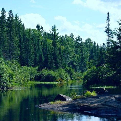 Algonquin Provincial Park - Ontario, Canada. . best for couples or solo travelers looking for a clean, comfortable and budget friendly place to stay while exploring the vast wilderness and natural wonders of Algonquin Park. . IF YOU EVER AROUND, HOW WAS YOUR VISIT ? . . . . Follow @traveldreamever for more travel content daily ! • • Follow @traveldreamever Follow @traveldreamever Follow @traveldreamever • . #exploreontario #explorecanada #algonquinpark #barroncanyon #algonquinprovincialpark... Algonquin Provincial Park, Ontario Parks, Algonquin Park, Reference Board, Travel Content, Explore Canada, Ontario Canada, Natural Wonders, Budget Friendly