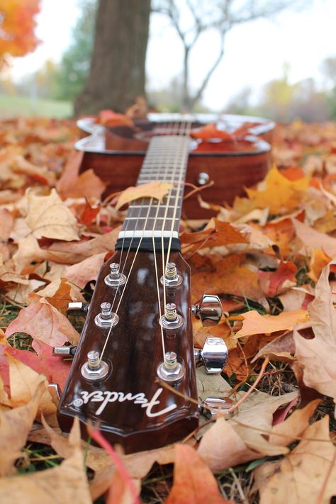 Brecken N. Schaller Photography #guitar #fallphotography Fall Guitar Aesthetic, Acoustic Guitar Aesthetic Wallpaper, Guitar Poses, Blue Acoustic Guitar, Violin Pics, Songwriting Inspiration, Acoustic Guitar Photography, Couples Hidden Face Pics, Boyfriends Be Like