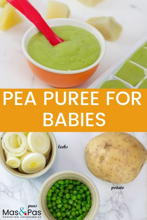 Pea Puree Recipe Dishes, Pureed Peas, Peas Baby Food Recipe, Scallop And Pea Puree, Peas Puree, Peas Baby Food, Squash Baby Food Recipe, How To Cook Peas, Baby First Solid Food