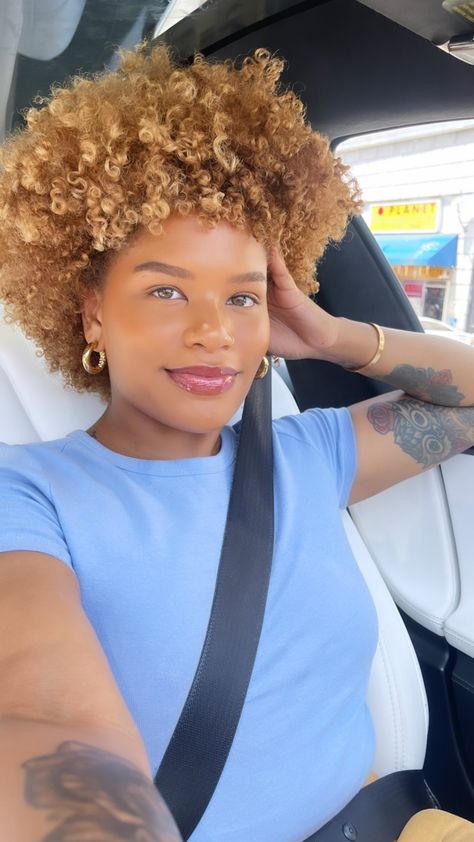 Alissa Ashley, Blonde Natural Hair, Curly Fro, Hair Black Women, Girl Hair Colors, Natural Hair Short Cuts, Beautiful Natural Hair, Dyed Natural Hair, Natural Hair Beauty