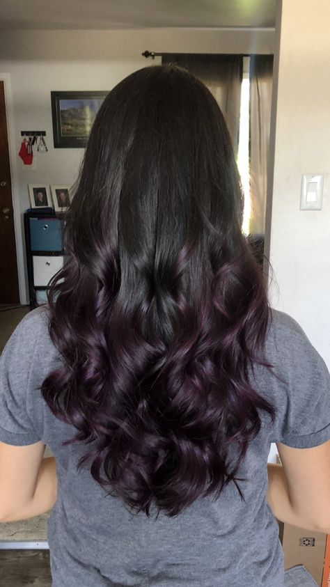 Purple Hair Dye On Black Hair, Dark Purple Almost Black Hair, Outfits That Go With Purple Hair, Dark Purple Ends Hair, Hair Colour Purple Dark, Dark Purple On Brown Hair, Partial Purple Hair, Dark Purple Hair Balayage, Dark Purple Streaks In Brown Hair