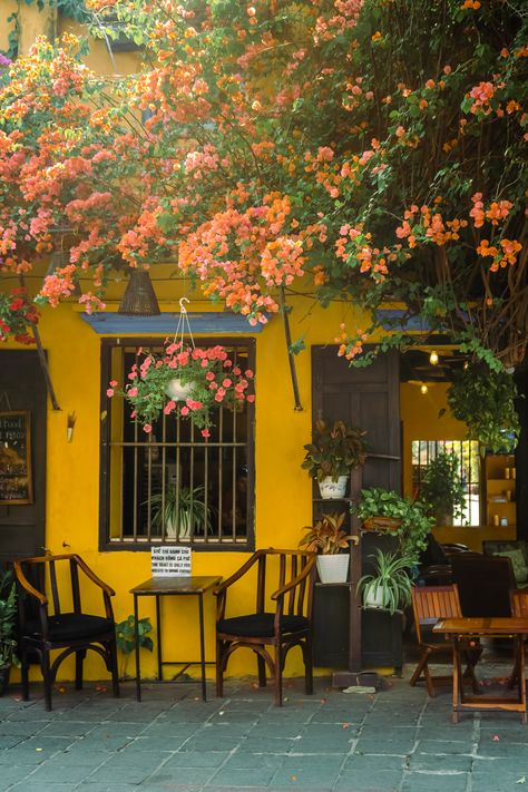 Our 2 week Vietnam itinerary ends with a trip to Hoi An to visit the colourful town and it's cafes Vietnam Hoi An, Vietnam Cafe, Vietnam Pictures, Vietnam House, Hoian Vietnam, Vietnam Trip, Vietnam Itinerary, Vietnam Backpacking, Beautiful Vietnam