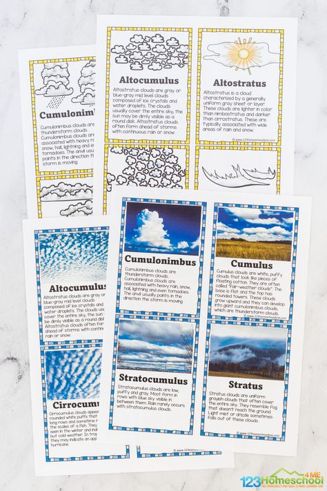 Cloud Types Activity, Clouds Lesson For Kids, Earth Day Projects 4th Grade, Cloud Identification Printable, Types Of Clouds Project, Cloud Activities For Preschool, Clouds Kindergarten, Types Of Clouds For Kids, Cloud Classification