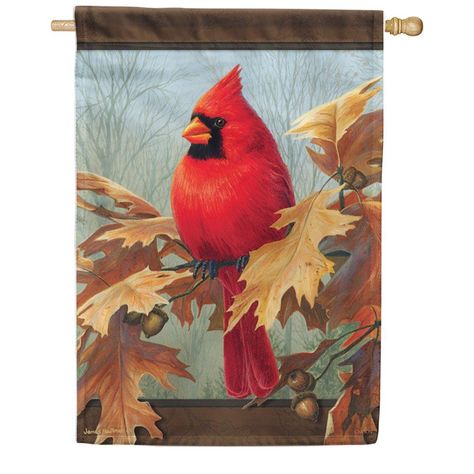 About the DesignA mighty red cardinal is seated on an oak branch in this serene and crisp outdoor design. About the FlagDecorate your home and garden with beautiful dye sublimated house flags from Carson. Sublimated House Flags feature durable, heavier construction, yet are the softest to feel among printed flags in market today! Carson Sublimated Flags are made with trademarked "Dura Soft" fabric and feature colorful and bright designs.Features: Readable on both sidesSize: House - 28" x 40"Be s Fall House Flags, Decorative Flags Outdoor, Fall Flags, Burlap Flag, Fall Garden Flag, Garden Flag Stand, Yard Flags, Outdoor Flags, Fall Outdoor