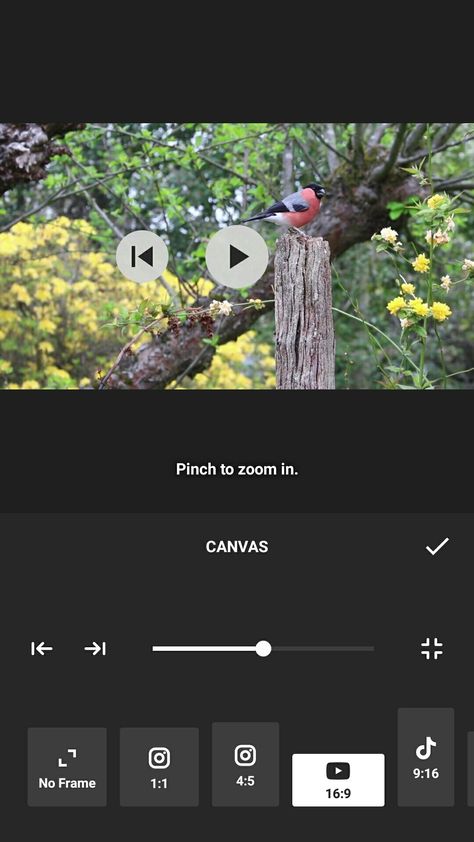 This tutorial shows show to zoom video in Inshot. First click on canvas icon... Canvas Icon, Zoom Video, Editing Photo, Video Editing Apps, Graphic Designing, Editing Tutorials, Popular Videos, Video Editor, Video Editing