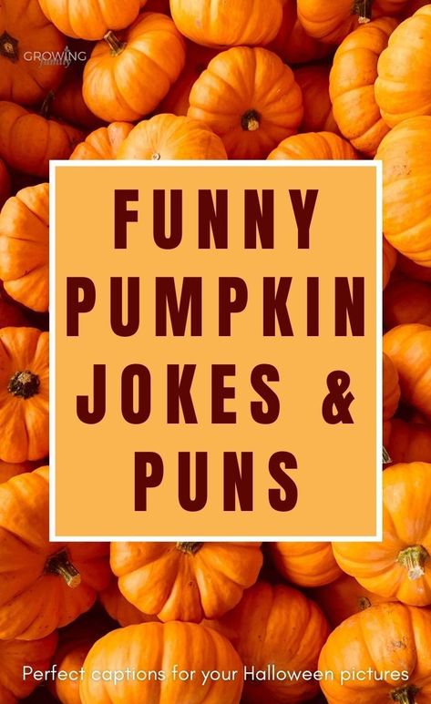 Pumpkin Jokes Funny, Halloween Pun Drawings, Pumpkin Puns Funny, Halloween Funny Humor, Fall Jokes, Halloween Messages, Halloween Puns Funny, Pumpkin Jokes, Pumpkin Puns