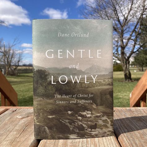 For such a time as this… I have been wanting to read Gentle and Lowly by Dane Ortlund ever since I saw @kirbyisaboss post about it YEARS ago (side note: Kirby has her own book coming out soon 👀) I FINALLY started this book over the weekend and I was so relieved I hadn’t read it until now, because this book is SO good! I was tearing up just reading the introduction! You might be thinking that’s a little backwards. If this book is so great, shouldn’t I be wishing I read it sooner? Nope. B... Gentle And Lowly, Christian Book Recommendations, Faith Based Books, Empowering Books, Bible Journaling Ideas Drawings, Healing Books, Recommended Books To Read, Inspirational Books To Read, Book Girl