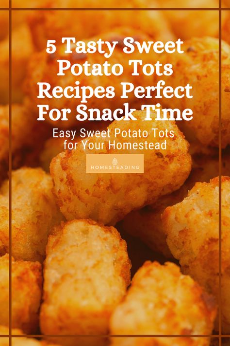 Potato Tots Recipes, Sweet Potato Tots Recipe, Tots Recipes, Homesteading Recipes, Sweet Potato Tots, Potato Tots, Steamed Sweet Potato, Tator Tots, Healthy Afternoon Snacks