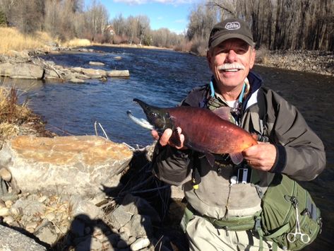 Gary Karbousky | Angler's Covey Fly Shop and Guide Service Kokanee Salmon, Crappie Fishing Tips, Dolly Varden, Jungle Life, Alaskan Salmon, Fishing Stuff, Salmon Fishing, Fishing Girls, Fishing Life