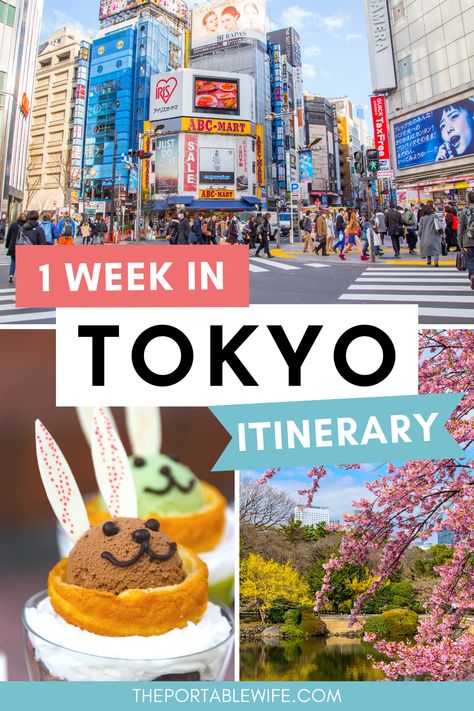 One Week In Japan Travel, Tokyo Bucket List Travel Tips, 1 Week Japan Itinerary, Tokyo Vacation Japan Travel, Visit Tokyo Things To Do In, Tokyo Japan Places To Visit, 7 Days Tokyo Itinerary, Best Time To Travel To Japan, Japan Must Visit Places