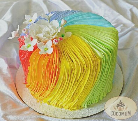 Colourful Holi Cake - Cake by COCOMOM Cakes Holi Cake, Sri Sri, 13th Birthday, Chandigarh, Party Cakes, Cake, Birthday, Color, Design