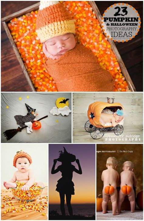 Taking Halloween Pictures, ideas for fun with kids and babies. Pumpkin Photography, Duke Photography, Photo Halloween, Halloween Memes, Baby Fotografie, Halloween Photography, Baby Picture Ideas, Newborn Pics, Baby Pic