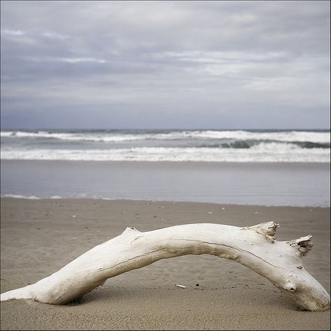 Boho Colors, California Coastline, Driftwood Beach, Paint Color Schemes, Drift Wood, One With Nature, Light Spring, Human Nature, Beach Scenes