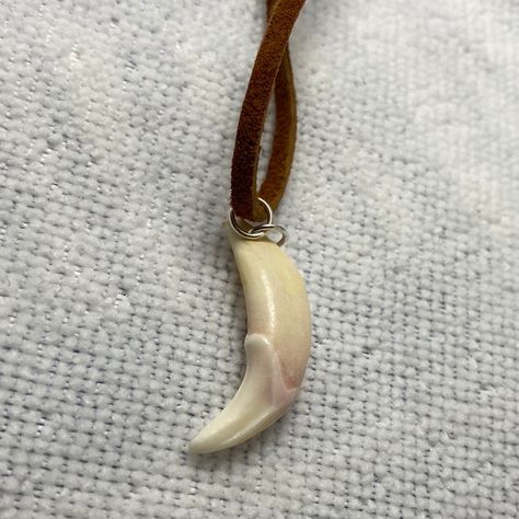 Cat Bones, Teeth Necklace, Animal Teeth, Real Bones, Teeth Jewelry, Jewelry Real, Tooth Necklace, Bone Jewelry, Dog Teeth