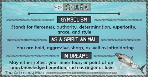 Shark Symbolism Spirit Animal Dream Wich Stuff, Shark Symbolism, Shark Spirit Animal, Meditation Signs, Animals Symbolism, Animals Meaning, Shark Meaning, Spirit Animal Meaning, Goddess Spirituality