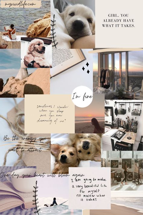 December Mood Board, Golden Retriever Wallpaper, Dog Wallpaper Iphone, Colorful Hairstyles, Cute Puppy Wallpaper, Cute Dog Wallpaper, Cute Dogs Images, Puppy Wallpaper, Very Cute Dogs