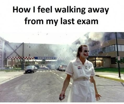 Final Exam Memes Humor, Exam Memes, Exams Memes, Last Exam, Funny School Pictures, Studying Memes, Exams Funny, College Memes, Funny School