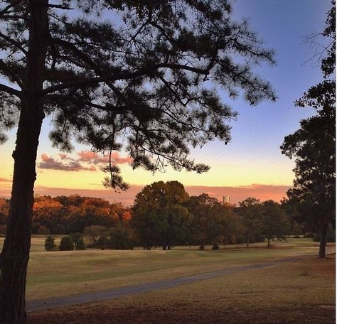 Sunset at Chastain Park in Atlanta, #Georgia. Bridal Breakfast, Albany Georgia, Things To Do In Atlanta, Georgia Vacation, Fan Photo, Southern Life, Tourism Website, Texas Girl, Relaxing Time