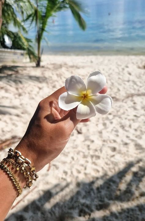 Tahiti Aesthetic, Flower Skin, Mermaid Core, Summer Glow, Tropical Vibes, Just Girl Things, Island Life, Tahiti, Hibiscus