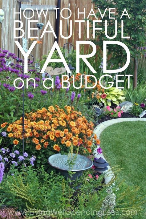 Think having a fancy yard is only for rich people? Think again! While you might not be able to afford a professional landscaper, there's no reason you can't still create an outdoor space you adore, and summer is the perfect time to start! Don't miss these great tips for how to have a beautiful yard on a budget! Yard On A Budget, Colorful Gardens, Budget Landscaping, Cheap Landscaping Ideas, Pollinator Plants, Future Garden, Beautiful Yards, Master Gardener, Landscaping Tips