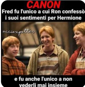 Posto citazioni su Harry Potter Headcanon Harry Potter, Harry Potter Dolls, Harry Potter Quiz, Harry Potte, Harry Potter Ron, Fred And George Weasley, Harry Potter Tumblr, George Weasley, Harry Potter 2