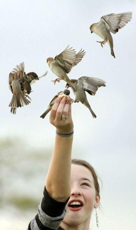 @Mafaldra Arte Animal, Birds Flying, Bird Feathers, Birdy, Love Birds, Birds In Flight, Beautiful Birds, National Geographic, Pet Birds