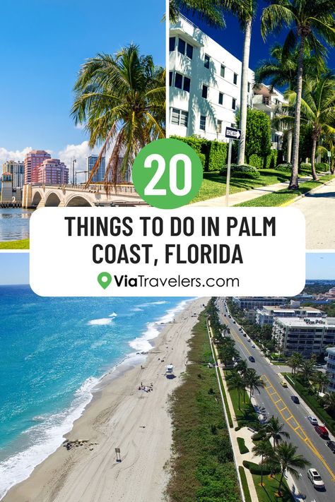 Things To Do In Palm Coast, Florida Venice Beach Florida, Florida Activities, Florida Vacation Spots, Venice Shopping, Palm Coast Florida, Venice Florida, Visit Venice, Places In Florida, Florida Photography