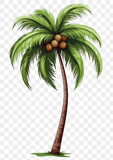 Coconut Tree Vector Illustration, Palm Tree Digital Art, Coconut Illustration Design, Coconut Tree Clipart, Coconut Tree Illustration, Coconut Tree Png, Coconut Illustration, Coconut Clipart, Tree Vector Png