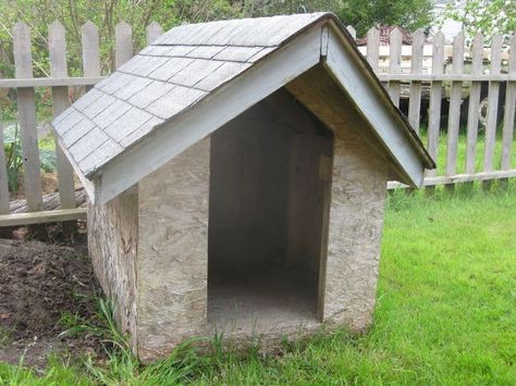 Dog house chicken coop Chicken Coop Dog House, Dog Crate Chicken Coop, Dog House Chicken Coop Diy, Dog House To Chicken Coop, Chicken Coop From Dog Kennel, Dog House Chicken Coop, Chicken Laying Boxes, Easy Diy Chicken Coop, Plastic Dog House