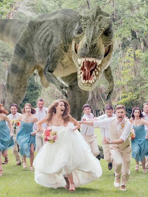 the most hilarious wedding photos to have in your wedding day Dinosaur Wedding, Funny Wedding Photos, Boda Mexicana, Photo Couple, Wedding Humor, Wedding Pics, Fun Wedding, Wedding Pictures, Funny Photos