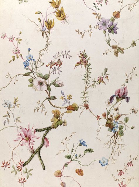 V&A · Rococo Textile Designs By William Kilburn Rococo Aesthetic, Rococo Decor, Rococo Art, Cottagecore Vibes, Rococo Fashion, Greeting Card Art, Textile Designer, Rococo Style, Inspirational Wallpapers