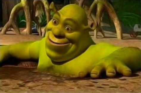 template 2 | Shrek in a Mud Bath | Know Your Meme Shrek Funny, Meme Names, Shrek Memes, Mud Bath, Memes In Real Life, Black Comedy, True Memes, Relationship Memes, Know Your Meme