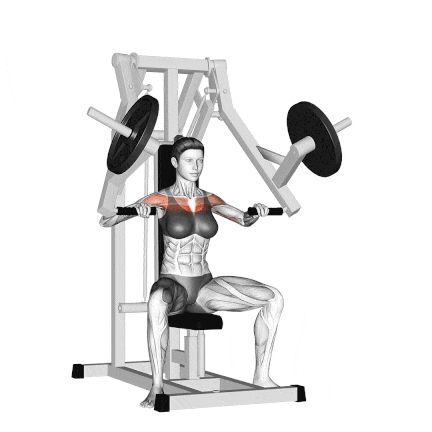 Machine Incline Chest Press Chest Press Machine Workouts, Incline Press Machine, Incline Chest Press Machine, Incline Chest Press, Chest Press Machine, Pectoralis Major, Shoulder Strain, Workout Gym Routine, Muscle Mommy