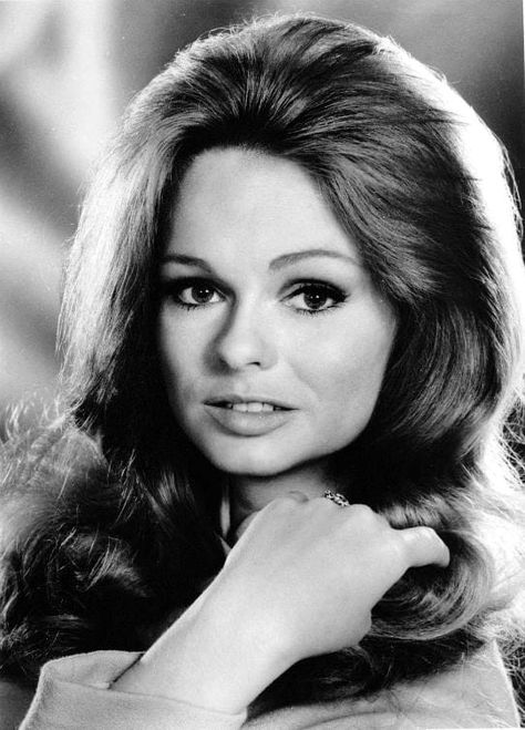 Lynda Day George Mission Impossible Tv Series, Lynda Day George, The Virginian, Mission Impossible, Press Photo, Over The Years, Mona Lisa, Boarding Pass, Tv Series