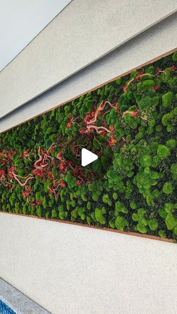 Moss Growing On Wall, Growing Sphagnum Moss, Moss Wall Sculptures & Statues, Preserved Moss, Moss Art, Moss Wall, Wall, Plants, Instagram