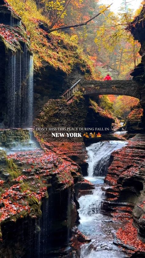 Sunetra ⋒ New York ✈Travel Content Creator ☾ | 🍁October in Watkins Glens, NY⁠⤵️⁠ ⁠ New York’s prettiest state park, Watkins Glen State Park, is nestled in the heart of the Finger Lakes… | Instagram Glen Watkins State Park, Nigeria Falls, New York Countryside, Watkins Glen Ny, Finger Lakes Ny, Watkins Glen State Park, Usa Trip, The Finger Lakes, Kingston Ny