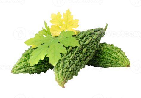 Bitter melon, Bitter gourd on white background. with clipping path Bitter Melon, Bitter Gourd, All About Plants, Gourds, Bitter, Free Png, Melon, Plant Leaves, White Background