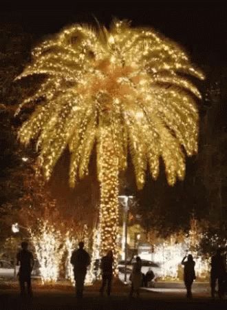 Coconut Tree GIF - Coconut Tree - Discover & Share GIFs Palm Tree Christmas Lights, Charleston Christmas, Christmas Palm Tree, Hawaii Christmas, Florida Christmas, Beachy Christmas, Tropical Christmas, Animated Christmas, Idul Fitri