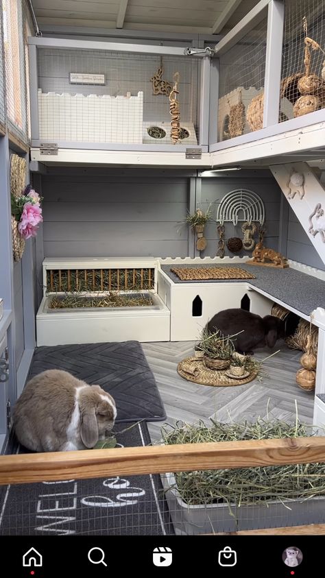 Bunny Runs Indoor, Bunny Outdoor Cage, Diy Bunny House Indoor Rabbit, Outside Bunny House, Giant Rabbit Enclosure, Two Story Bunny Cage, Bunny Habitats Indoor, C&c Rabbit Cage Ideas, Bunny Cage Ideas Outdoor