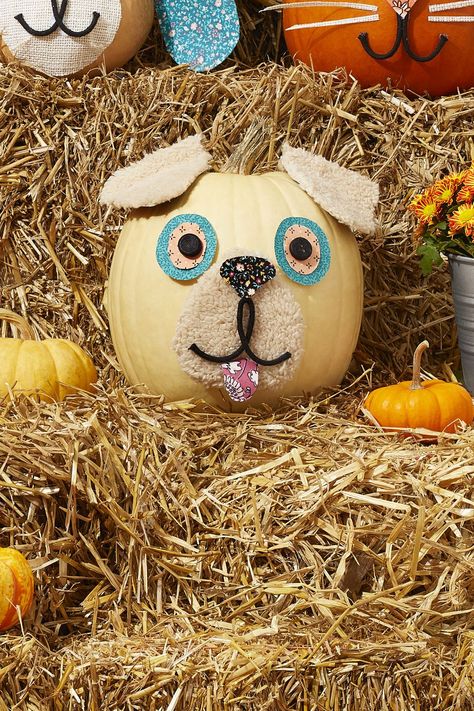 fall diy craft decorations pumpkins decorated like ranch animals Dog Pumpkin Decorating Ideas, Dog Pumpkin Decorating, Dog Pumpkin Painting, Dog Pumpkins, Pumpkin Animals, Pumpkins Decorated, Ranch Animals, Decorated Pumpkin, White Pumpkin Decor